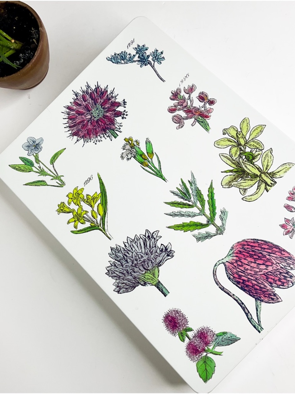 Crabtree & Evelyn Floral Botanical Decorative Tin  - Pink, Green, Yellow Accents